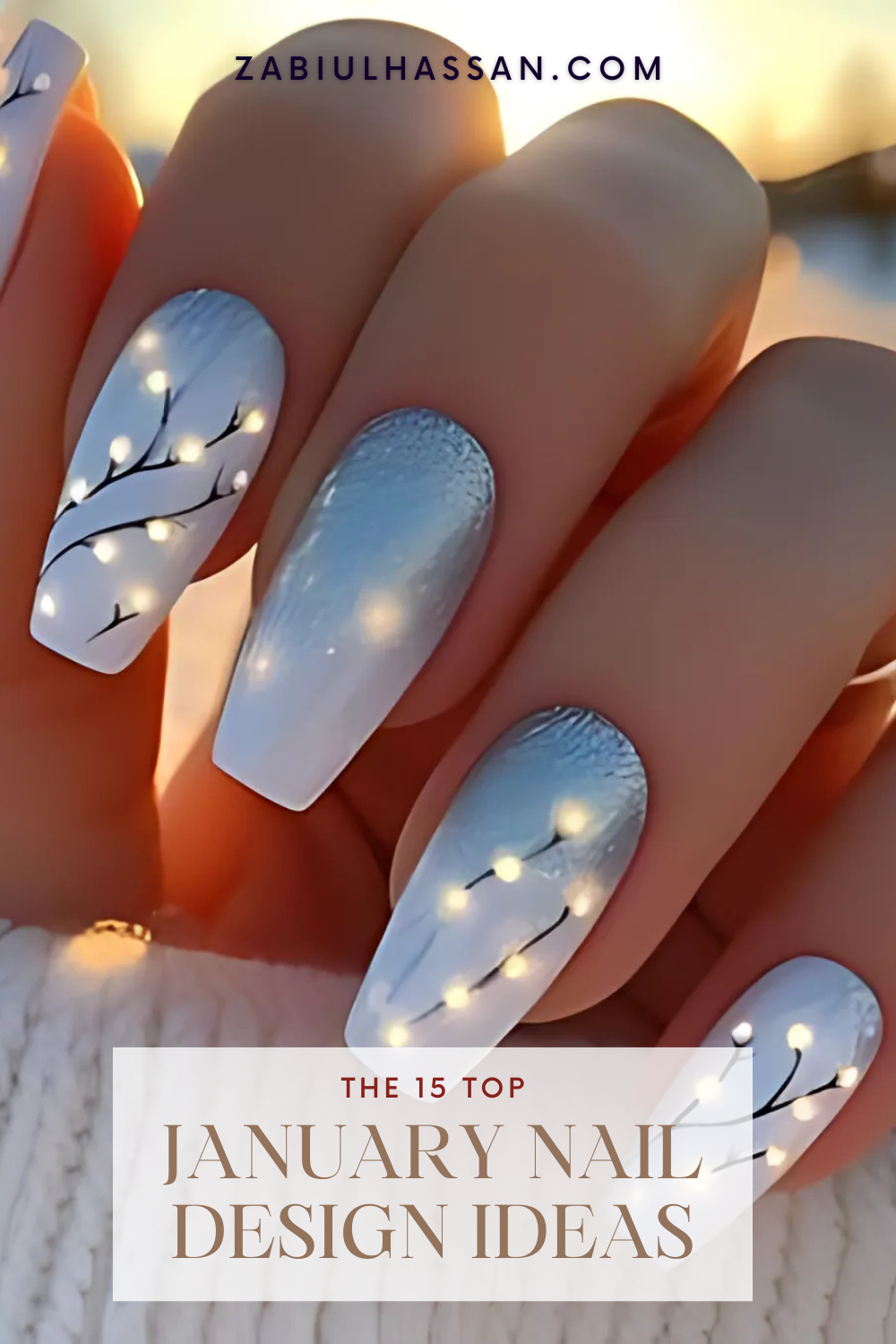 January 2025 Nail ideas